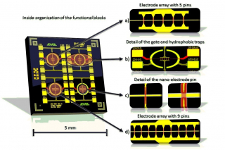 Elektrodové pole paralelních nano-kontaktů pro selektivní kontaktování nanodrátků určené pro senzorické aplikace - 2. generace
